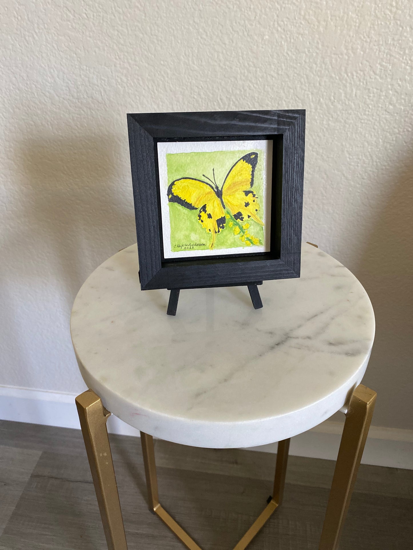 YELLOW SWALLOWTAIL BUTTERFLY