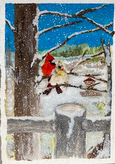 Red bird in the Snow