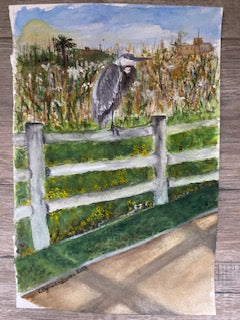 Bird on the fence